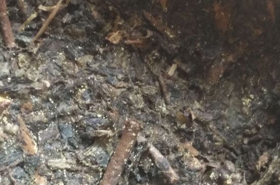 黑茶茯茶保存五大忌，茯茶收藏的注意事項(xiàng)