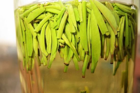 雀舌為何喝著是苦的，雀舌味道怎么那么苦澀？