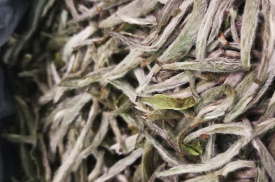 白毫銀針年份越久越好嗎，銀針白毫是否越陳越好