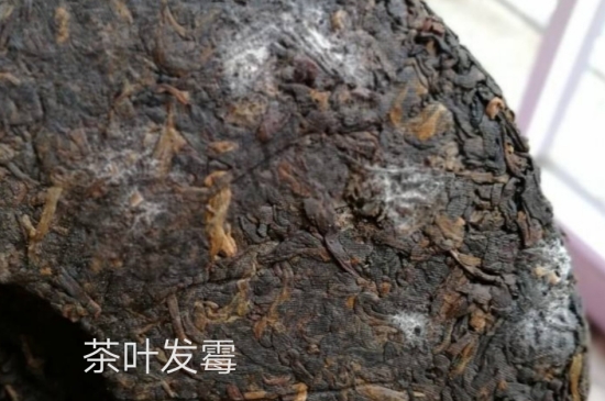 西湖龍井茶毫和發(fā)霉區(qū)別圖片，長(zhǎng)霉的龍井茶葉會(huì)是什么樣？